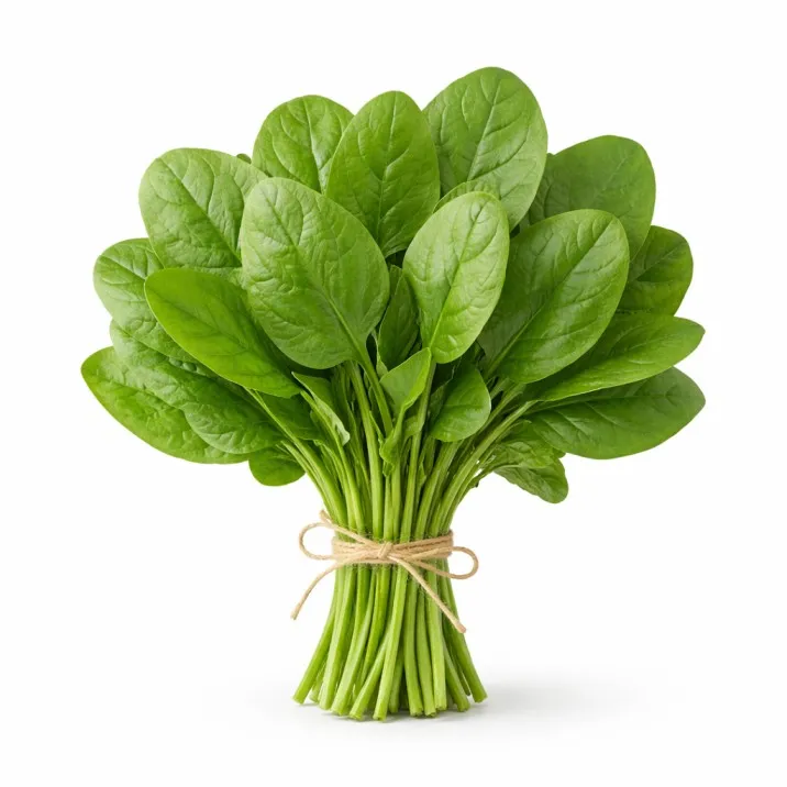 Spinach (Palak) (1B)