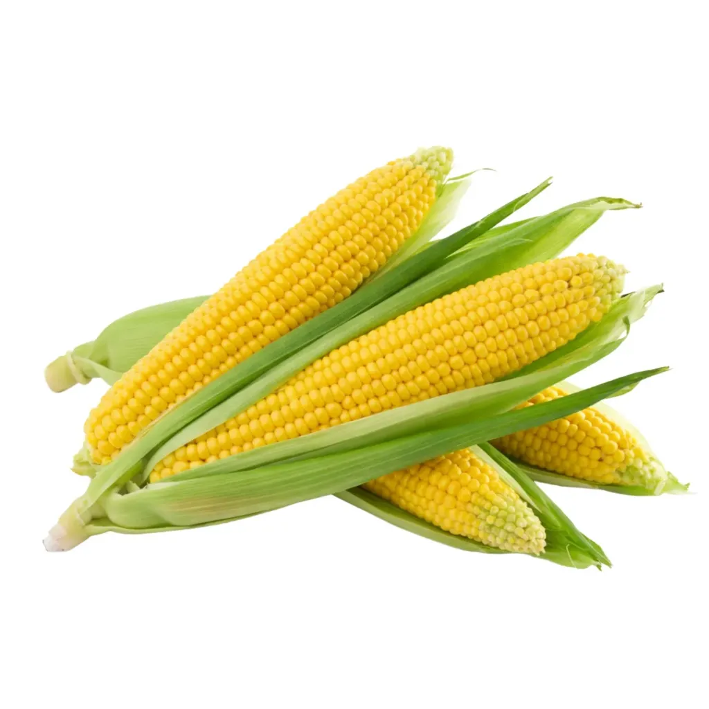Sweet Corn (Bhutta) (500g)
